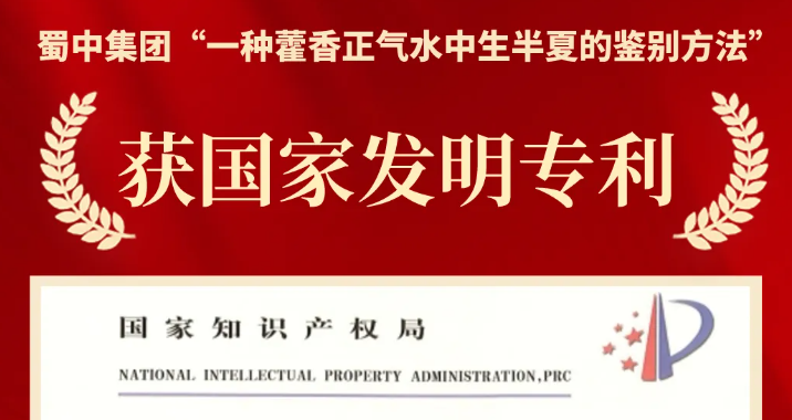 GA黄金甲·(中国区)官方网站