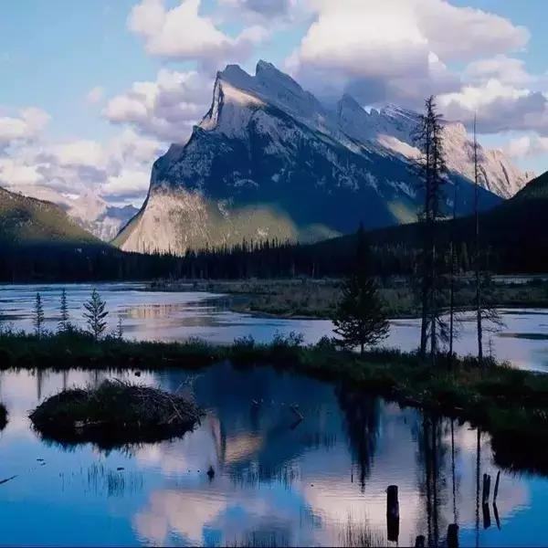 GA黄金甲·(中国区)官方网站